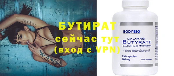 индика Новозыбков