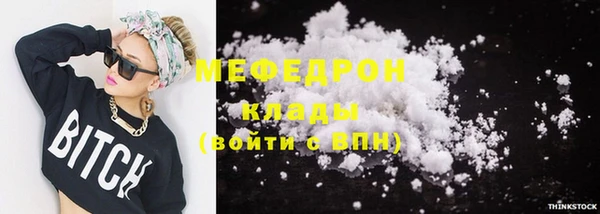 индика Новозыбков