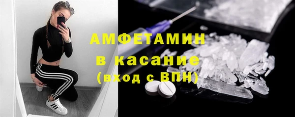 индика Новозыбков