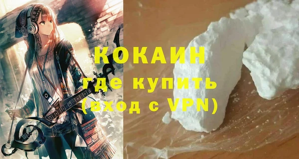 индика Новозыбков