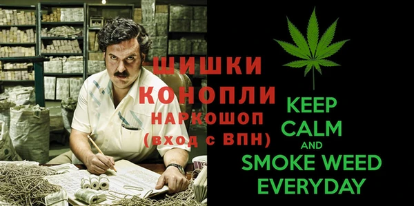 прущая мука Няндома