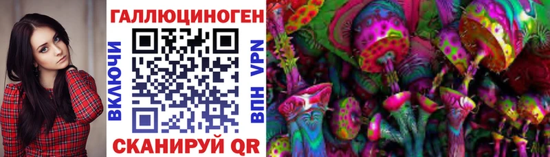 Псилоцибиновые грибы GOLDEN TEACHER  Лебедянь 